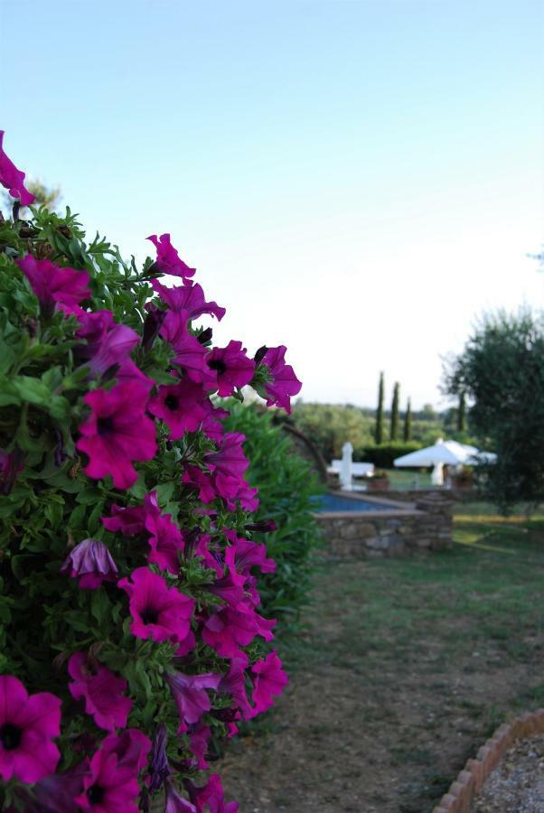 Villa Sara Suvereto Bagian luar foto